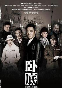 卧底2015